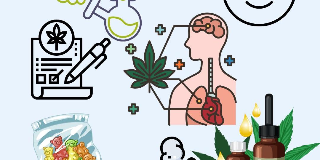 Cannabis 24.06.25 S. 1 (c) Susanne Mülhausen Cannabis 24.06.25 S. 1