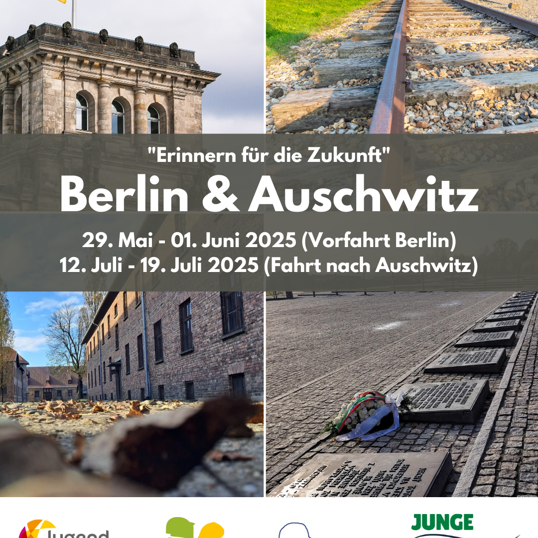 Sharepic Auschwitz25_png